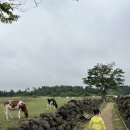 지윤목장 이미지