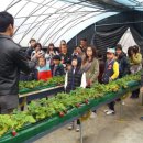 인평농장 이미지