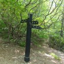 금오산성 이미지