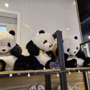 용두다방 이미지