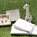 그린스테이 이미지