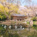 춘분 뜻| 2026 날짜 유래 24절기 음식과 풍습 이미지