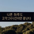 함덕은서네 | 봄이다