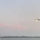 바다가 되고 싶어요 이미지