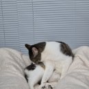 동수2길 | 눈썹 하나로 인생이 이렇게 편해질 줄이야 (Feat.오구브로우)