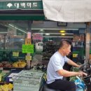 로얄성인게임장 이미지