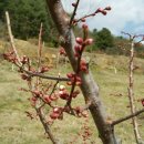 가실농장 이미지