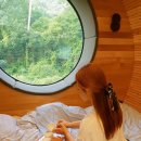 탐스럽개 이미지