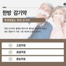 수성365약국 이미지