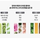 목련헤어라인 이미지