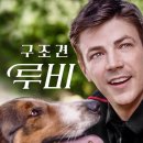 루비마로 | 영화 &#39;구조견 루비&#39; 정보