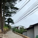 KONG & COFFEE(콩엔커피) 이미지