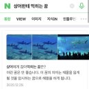 애증의 11월