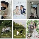 6069 | 종이청첩장 추천! 비프롬 포토커스텀 청첩장 제작 후기