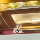 카잘스 | Anton Kraft(1749-1824) Concerto op.4 | Ettore Pagano(우승자) - Queen Elisabeth Competition 2026