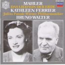 대지의 노래 이미지