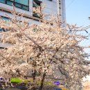 씨유 홍대거리점 이미지