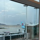 1870 | 오사카 여행 짐배송 캐리어배송 Airporter 이용후기 (1개당 1,870엔~)