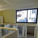 강아지트 이미지