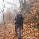 팔현1리 이미지