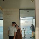 원초어린이집앞 인도 | 🇲🇽신혼여행기: 칸쿤 정글투어/리조트휴양/칸쿤 시내 구경