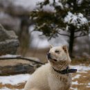 여우골농장 이미지