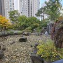 대치1-109 이미지