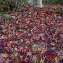 금정힐스테이트공인중개사사무소 이미지