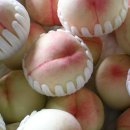 태기농원 이미지