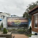 붐애견 | 고성 천진해변 애견동반 카페 번투드웍스 내돈내산 방문 후기 러닝 후 카페 10% 할인받기