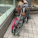 매음농장 | 무더운 춘천여행기