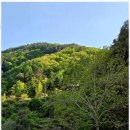 산과 자연의 쉼터 이미지