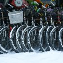 서호꽃뫼공원 이미지