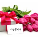 시창작 및 시낭송 이미지