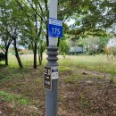 한강시민공원(등수국터널 1) | 장자호수공원(九里)