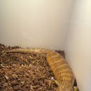 쥬니멀 전시장 이미지