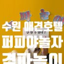 퍼피야놀자 네이버블로그