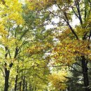 둘레길동물병원 이미지