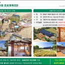 올래 이미지