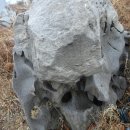 파주 명산 (홍복산, 호명산, 한강봉, 은봉산, 팔일봉, 쇠장봉, 우암산 비호봉)
