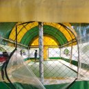 잡고굽고 | 청도 캠프원 캠핑장 – 미꾸라지 잡고, 물놀이하고, 고기도 굽고! 진짜 여름 시작