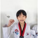 미르태권도장 이미지