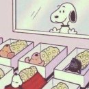 프라우삼성산부인과의원 | 출산후기 : 청주 프라우 산부인과 윤태진원장님 제왕절개 출산후기