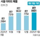 쌓이는 서울 아파트 매물 9만건 육박 이미지