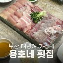 용호네횟집