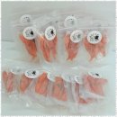 반려동물 케이크만들기 이미지