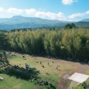 원형목장 이미지