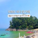 송전비치