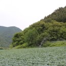 시목농장 이미지