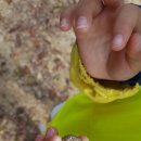 애솔어린이집 이미지